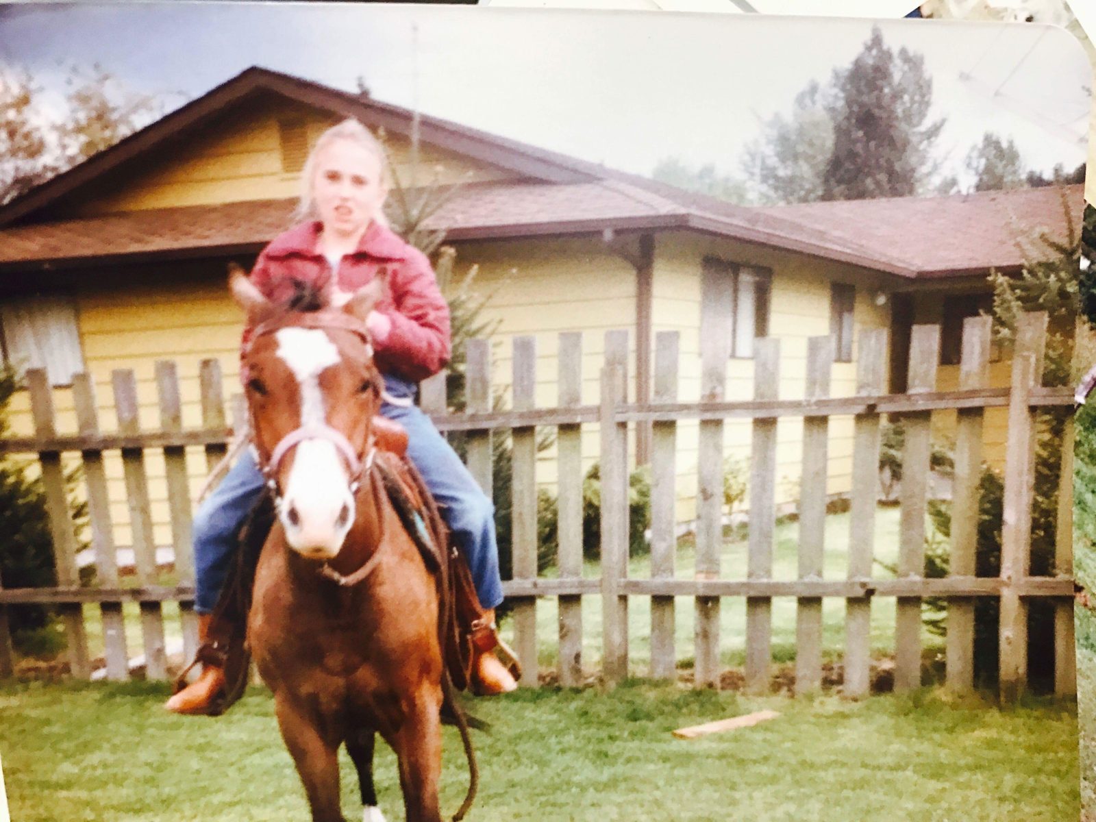 Why do horses help with grief when therapy hasn't worked?
